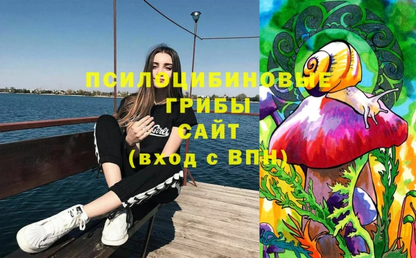 таблы Верхний Тагил